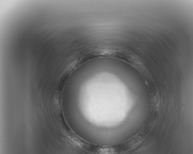 X0000054400415200508051719