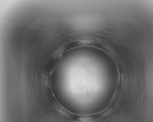 X0000054400417200508051719