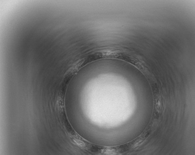 X0000054400419200508051719