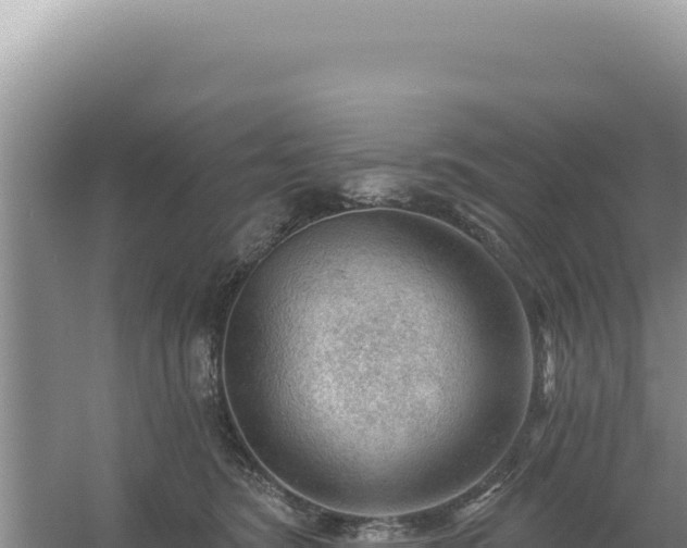 X0000054400420200508051718