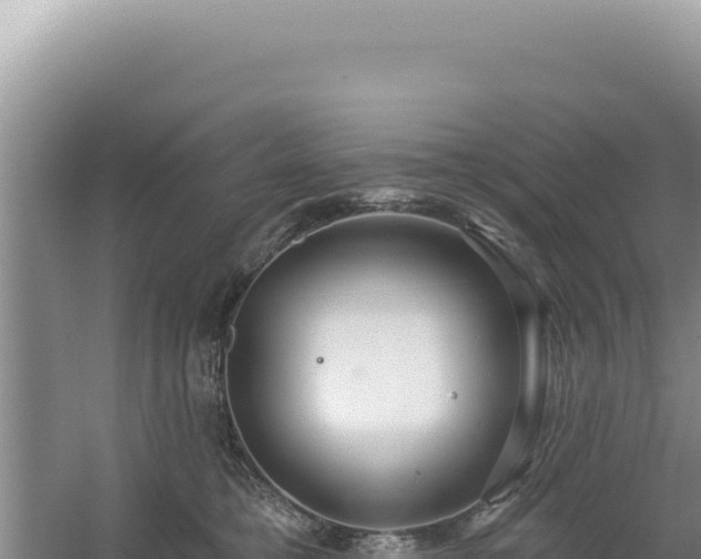 X0000054400421200508051718