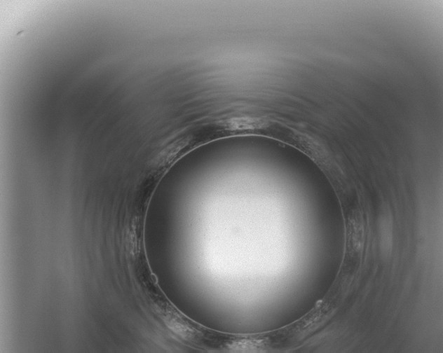 X0000054400422200508051718