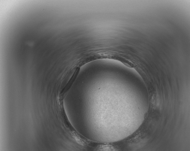 X0000054400424200508051718