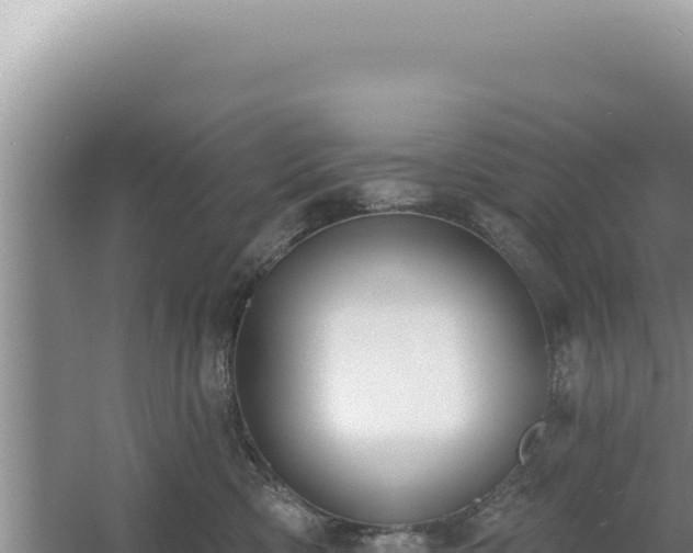 X0000054400426200508051718