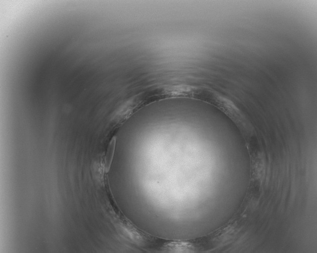 X0000054400427200508051718