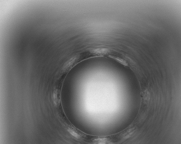 X0000054400428200508051718