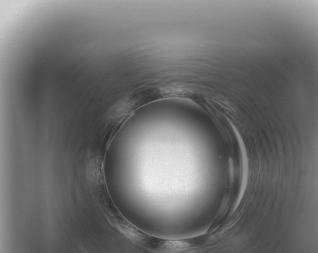 X0000054400429200508051718