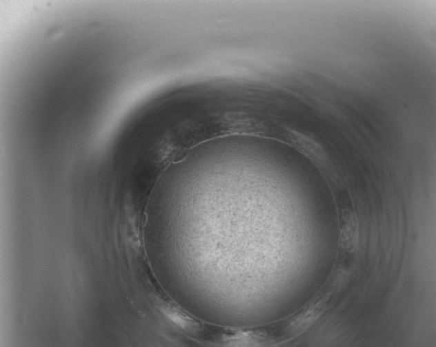 X0000054400430200508051718