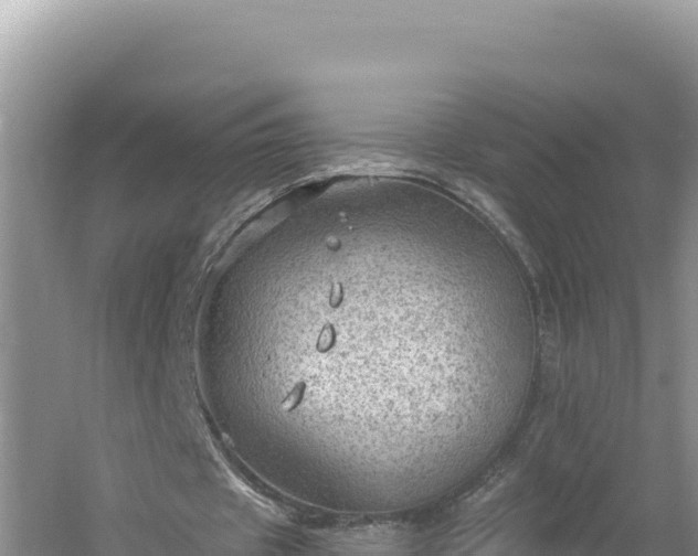 X0000054400433200508051717