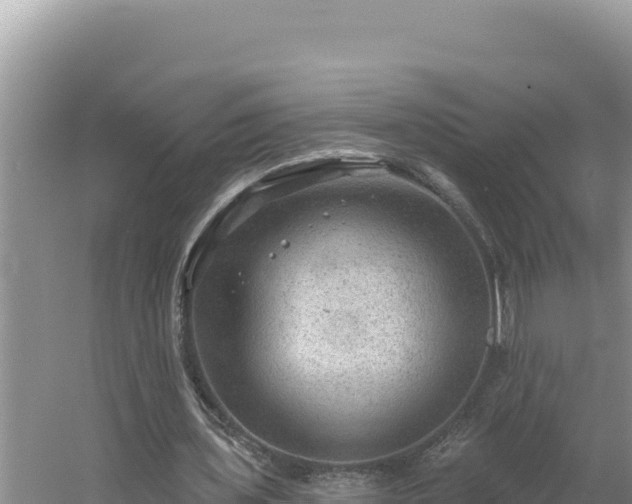 X0000054400435200508051717