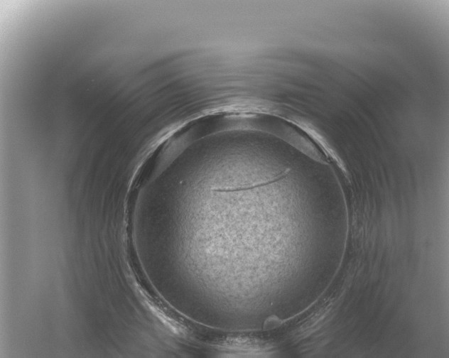 X0000054400437200508051718