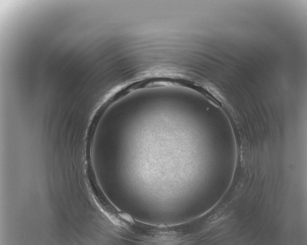 X0000054400438200508051718