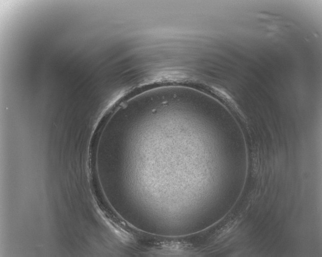 X0000054400439200508051718