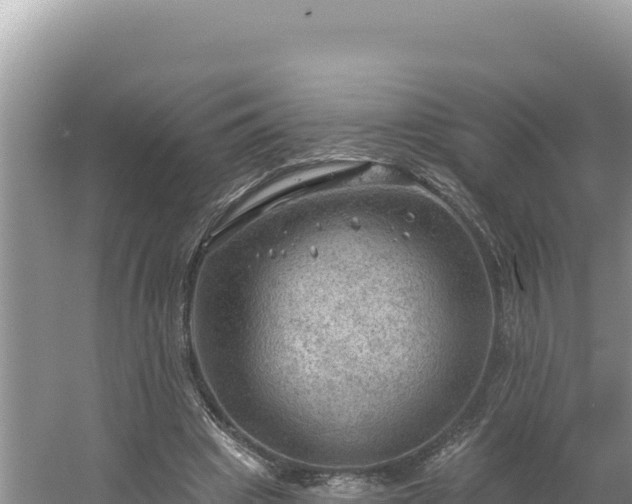 X0000054400441200508051718