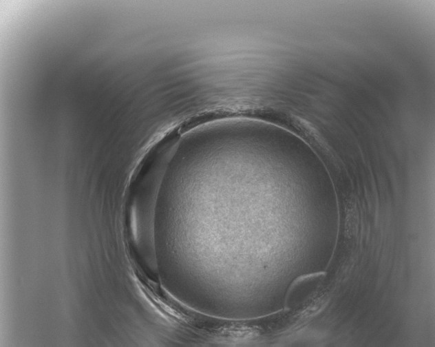 X0000054400443200508051718