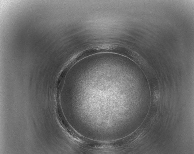 X0000054400444200508051718