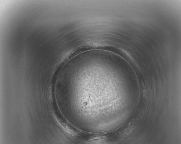 X0000054400447200508051718