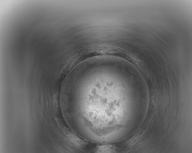 X0000054400461200508051718