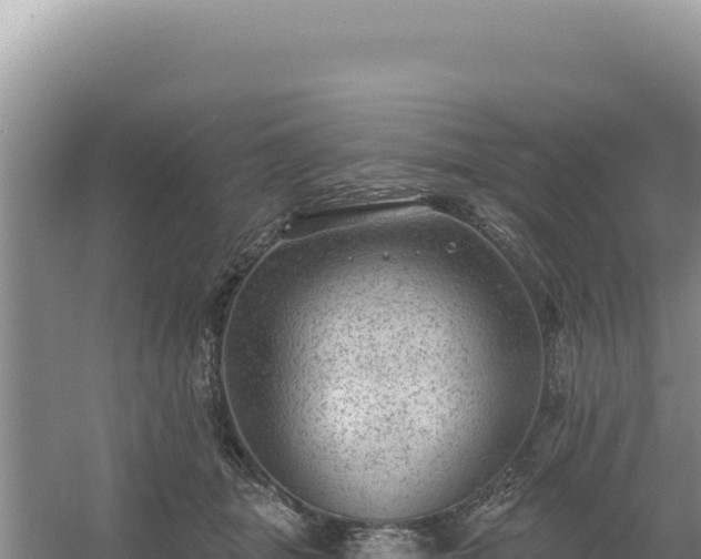 X0000054400463200508051718