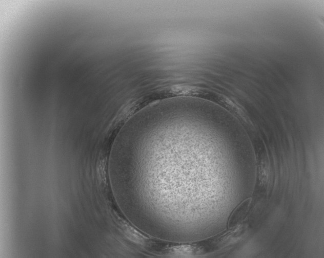 X0000054400473200508051718