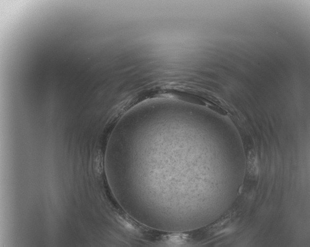 X0000054400474200508051718