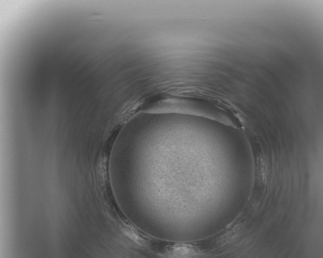 X0000054400475200508051718