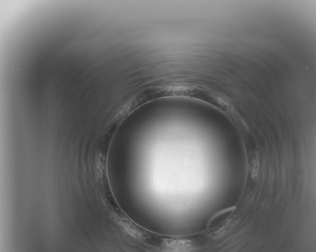 X0000054400476200508051718