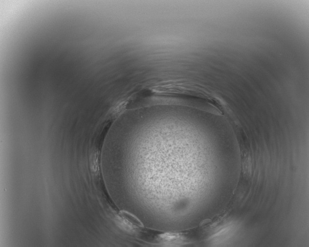 X0000054400477200508051718