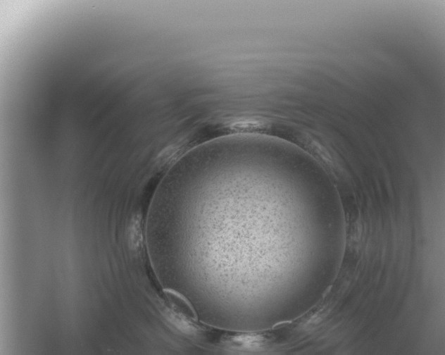 X0000054400478200508051718