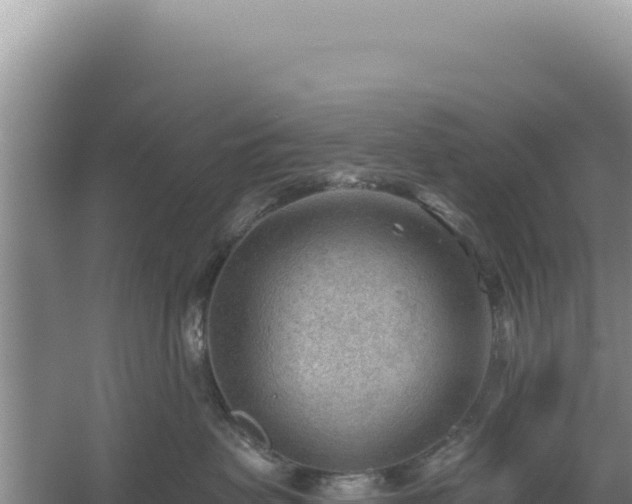 X0000054400479200508051718