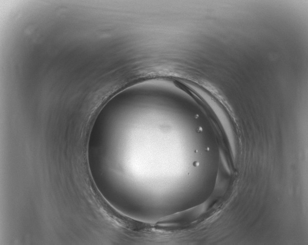 X0000054400481200508051717