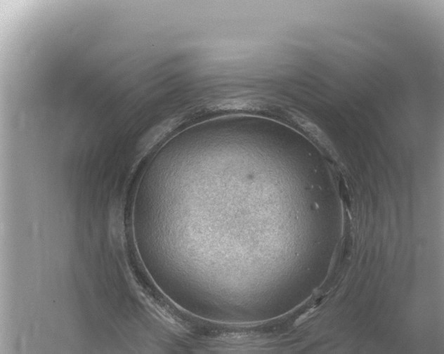 X0000054400482200508051717