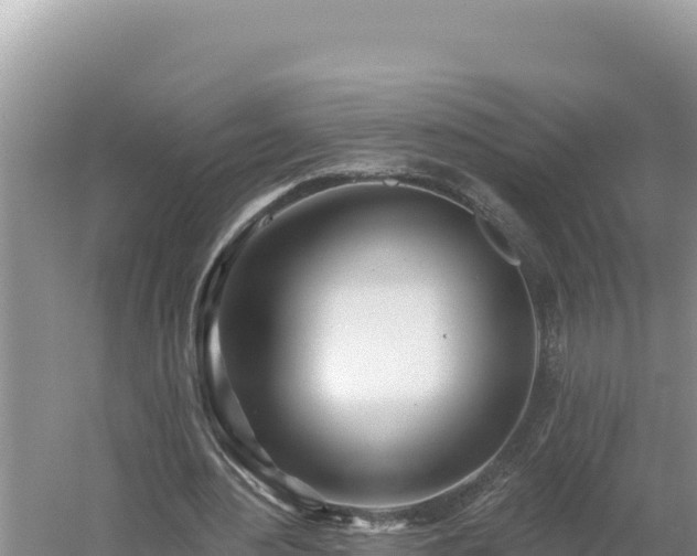 X0000054400484200508051717