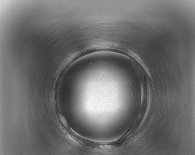 X0000054400485200508051717