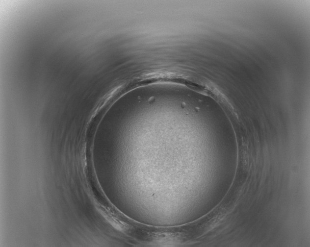 X0000054400486200508051717