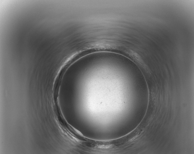 X0000054400488200508051717