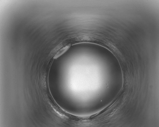 X0000054400489200508051717