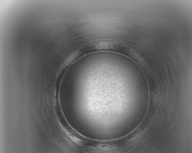 X0000054400490200508051717