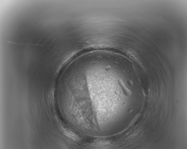 X0000054400491200508051717