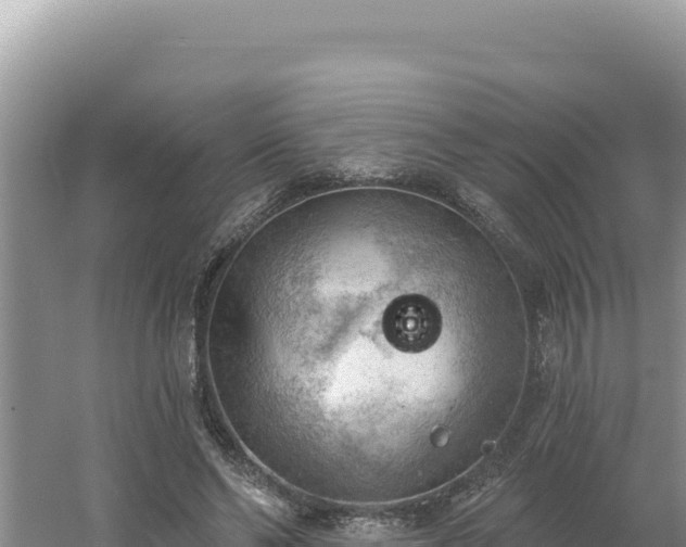 X0000054400494200508051717