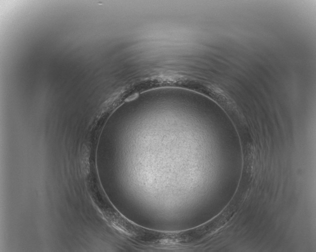 X0000054400496200508051717