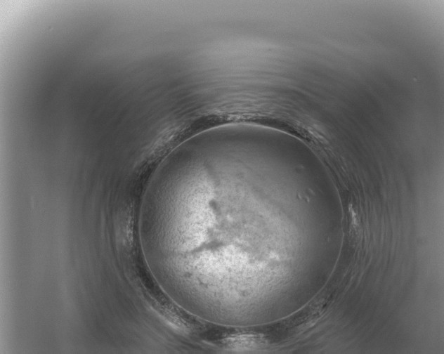 X0000054400499200508051717