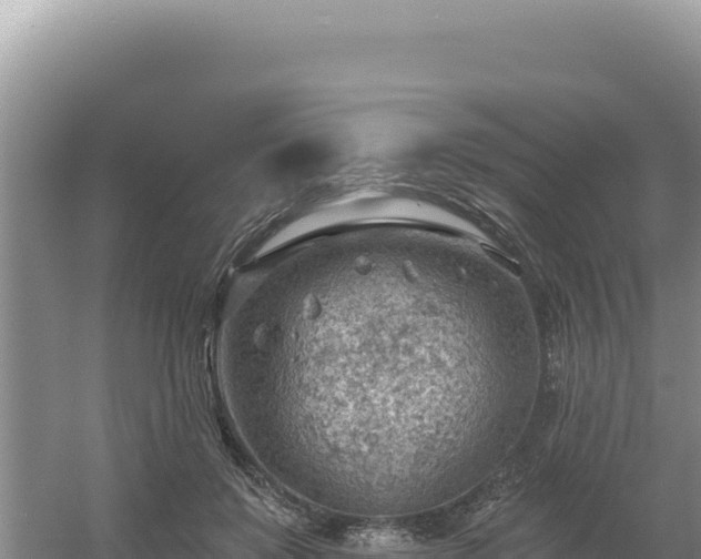 X0000054400503200508051717