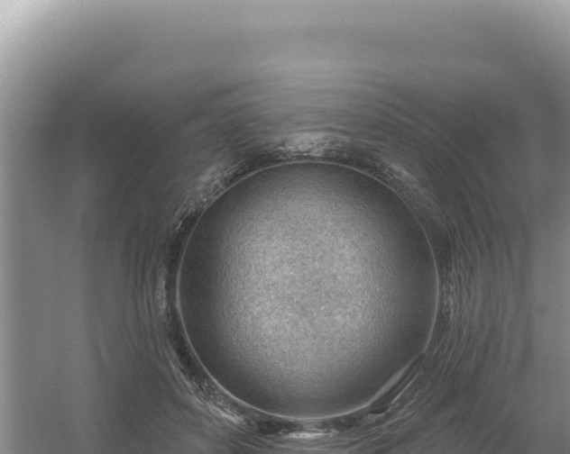 X0000054400504200508051717