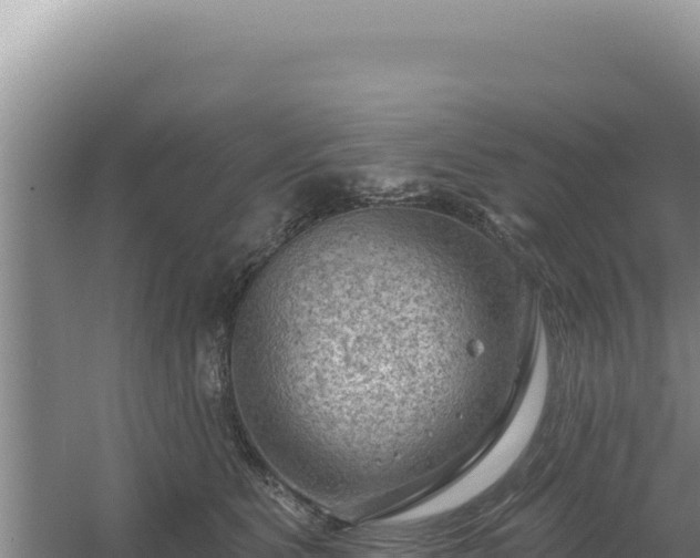 X0000054400515200508051717