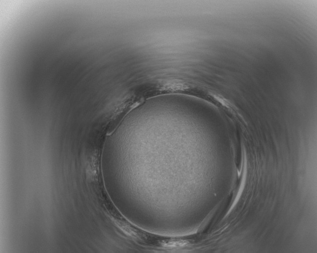 X0000054400517200508051717