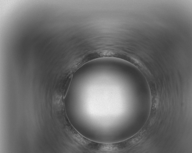 X0000054400521200508051717