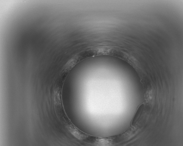 X0000054400522200508051717