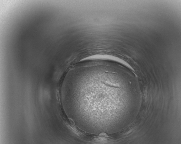 X0000054400523200508051717