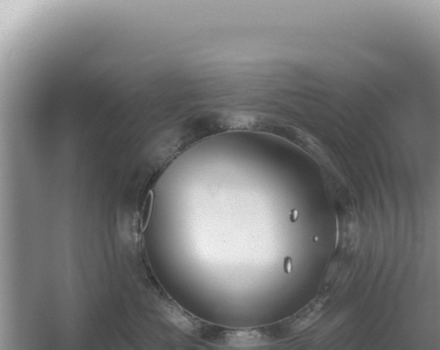 X0000054400525200508051717